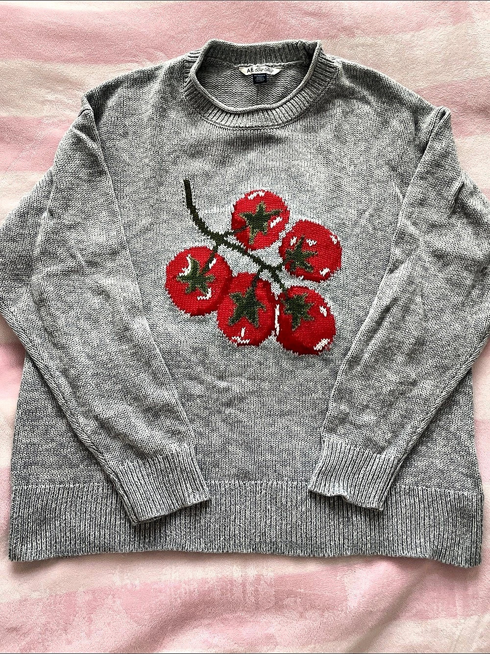 AE by Aerie Tomato Embroidery Gray Medium